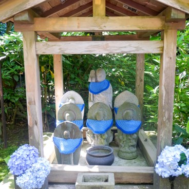 Bouddha et hortensias fleuris au Meigetsu-in (Kamakura)