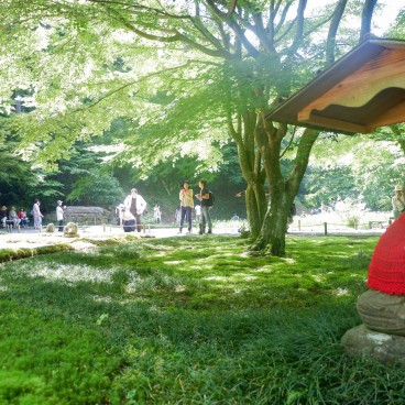 Jardin intérieur du Meigetsu-in en juin