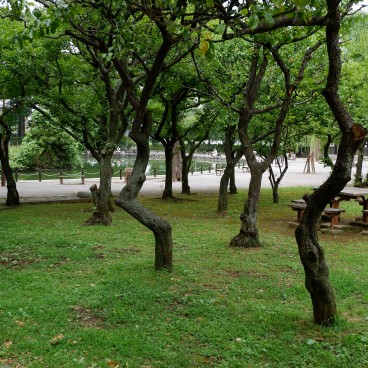Parc Akatsukatameike à Narimasu (Tokyo) 2