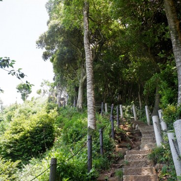 Randonnée Tenen à travers les collines au nord de Kamakura