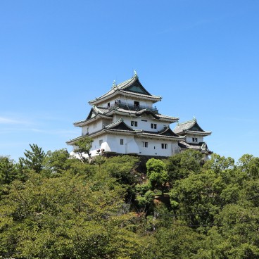 Château de Wakayama