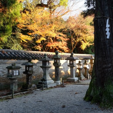 Sanctuaire Iwashimizu Hachiman-gu en automne