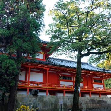 Sanctuaire Iwashimizu Hachiman-gu 3