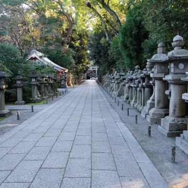 Sanctuaire Iwashimizu Hachiman-gu, allée bordée de lanternes