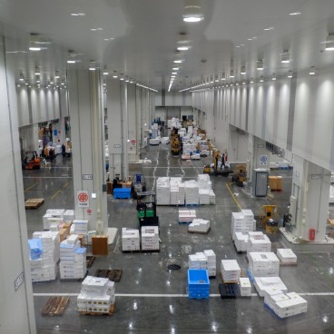 Observatoire vitré des ventes aux enchères de poissons à Toyosu