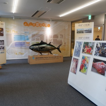 Informations vente aux enchères de thon à Toyosu