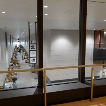 Observatoire du marché des fruits et légumes de Toyosu 2