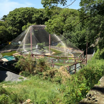 Zoo du parc du château de Wakayama