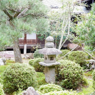 Manshu-in (Kyoto), vue sur le jardin en été 2
