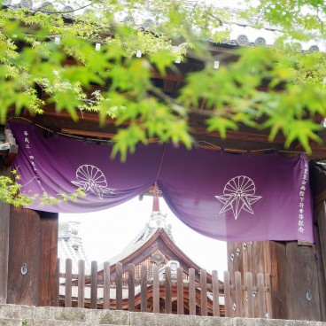Manshu-in (Kyoto), érables verts en été et pavillons