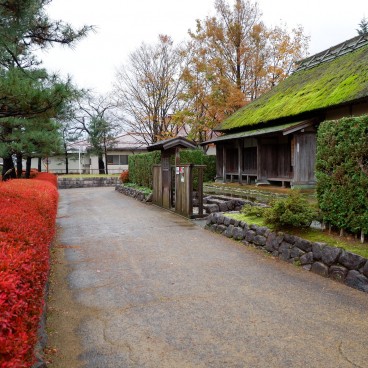 Balade dans Murakami 3