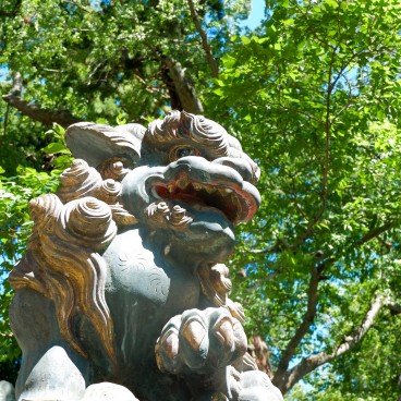 Lion protecteur du Narita-san Shinsho-ji