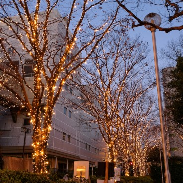 Illuminations Rohm à Kyoto pour Noel 2