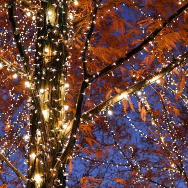 Illuminations Rohm à Kyoto pour Noel 3