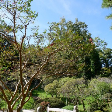 Parc du Narita-san, petit pont japonais sur étang
