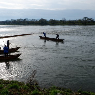 Murakami (Niigata), Pêche traditionnelle au filet sur la rivière Miomote 2