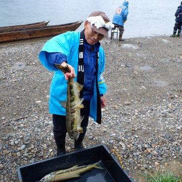 Murakami (Niigata), Un pêcheur et ses saumons pêchés sur la rivière Miomote