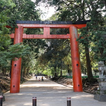 Tamukeyama Hachiman-gu, porte torii principale et entrée du sanctuaire