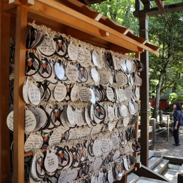 Tamukeyama Hachiman-gu, plaquettes votives ema aux couleurs d'un couple de palombes, oiseau messager du kami Hachiman