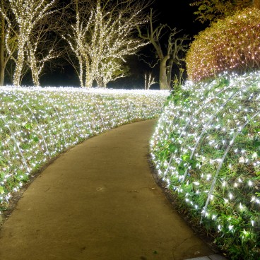 Enoshima, Illuminations Shonan no Hoseki 8