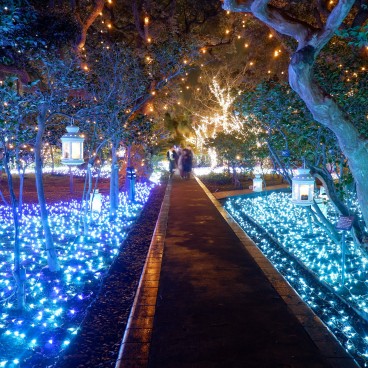 Enoshima, Illuminations Shonan no Hoseki 5