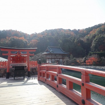Temple Katsuo-ji en automne à Minoh (Osaka) 10