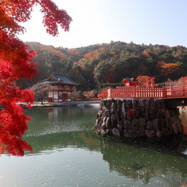 Erables rouges en novembre au temple Katsuo-ji à Minoh (Osaka) 7