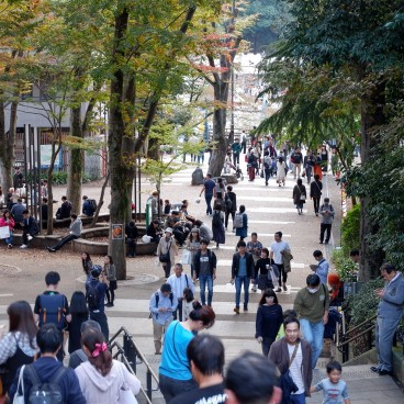 parc Inokashira Kichijoji