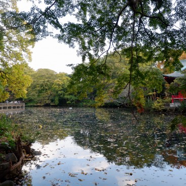 parc Inokashira Kichijoji 2