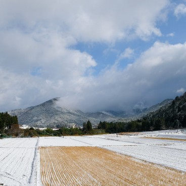 Miyama (Kayabuki no sato), rizières à l'arrivée sur le village au nord de Kyoto