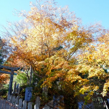 Escalier vers le sanctuaire Musashi-Mitake-jinja en automne 2