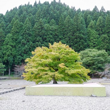 Ruines du clan Ichijodani Asakura (Fukui)