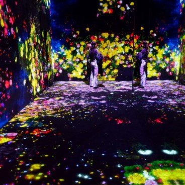 teamLab Borderless - musée d'art digital à Odaiba (Tokyo) 4