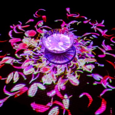 teamLab Borderless - musée d'art digital à Odaiba (Tokyo) 11