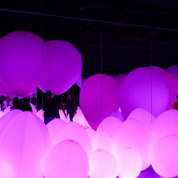 teamLab Borderless - musée d'art digital à Odaiba (Tokyo) 15