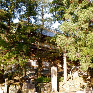 Eihei-ji (Fukui), Vue sur les édifices du temple dans la forêt