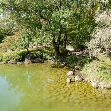 Jardin Yokokan (Fukui), Vue sur le jardin 2