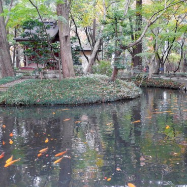 Petit étang et autel Benten-do du Heirin-ji