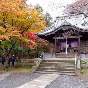 Pavillon du Heirin-ji en automne