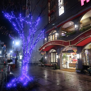 Accès piétons au festival d'hiver des lumières de Kobe