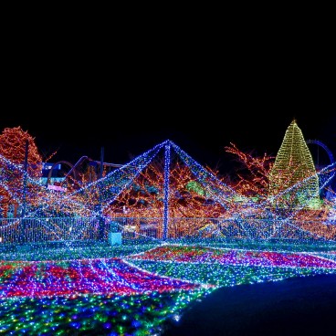 Illuminations nocturnes en hiver au parc Yomiuriland 2
