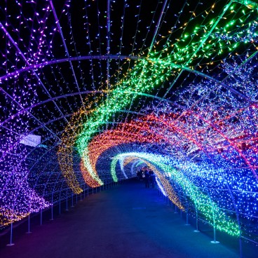 Tunnel lumineux en hiver au parc Yomiuriland