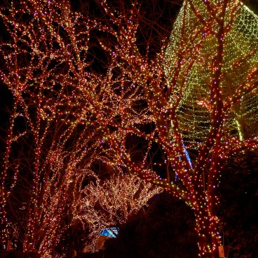 Allée illuminée en hiver au parc Yomiuriland 2