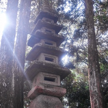 Jardin japonais Zen du Kyuchikurin-in à Otsu 5