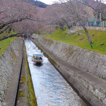 Canal du lac Biwa et cerisiers à l'entrée du Mii-dera