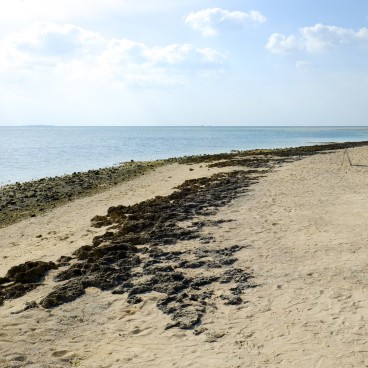 Plage Kaiji à Taketomi-jima 3