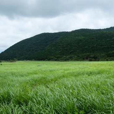 Marais de Tadewara, parc national Aso Kuju (Oita) 3