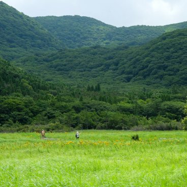 Parc national Aso Kuju (Oita), sentier randonnée aménagé au sein du marais de Tadewara