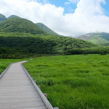 Chemin sur pilotis du marais de Tadewara (Oita)