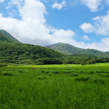 Marais de Tadewara, parc national Aso Kuju (Oita)